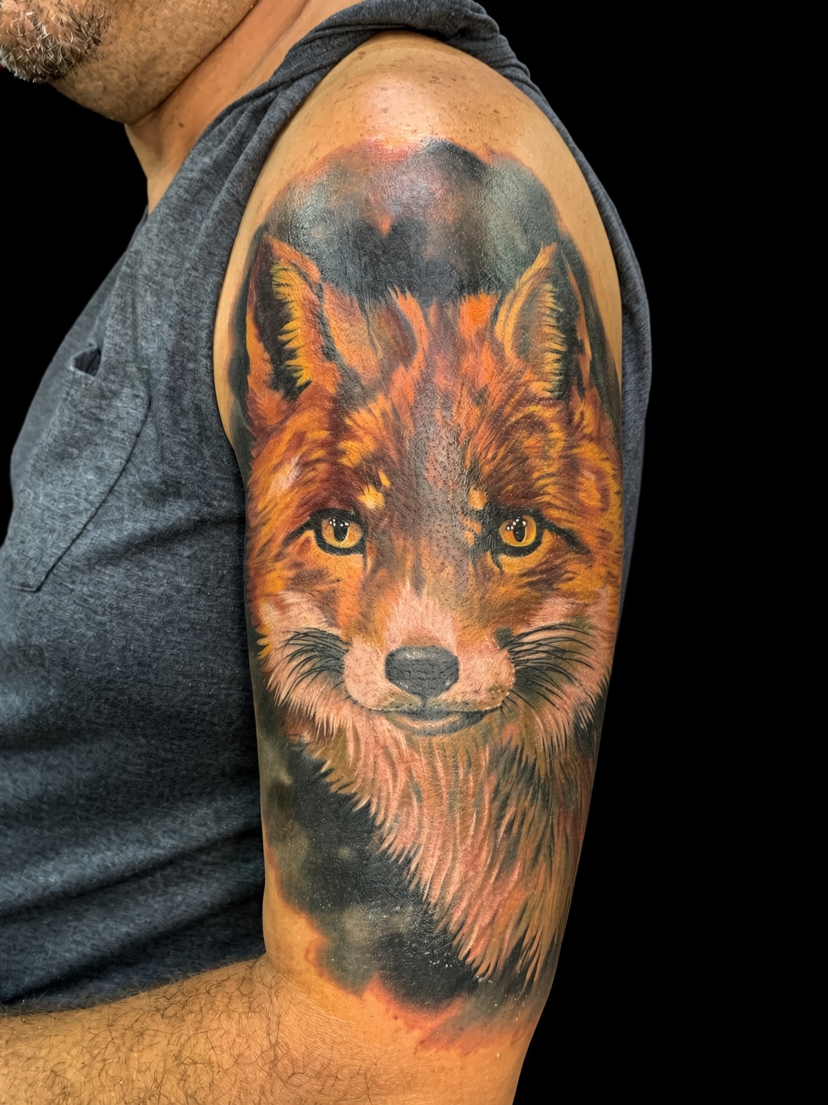 Cover-up después: zorro realista a color en el hombro