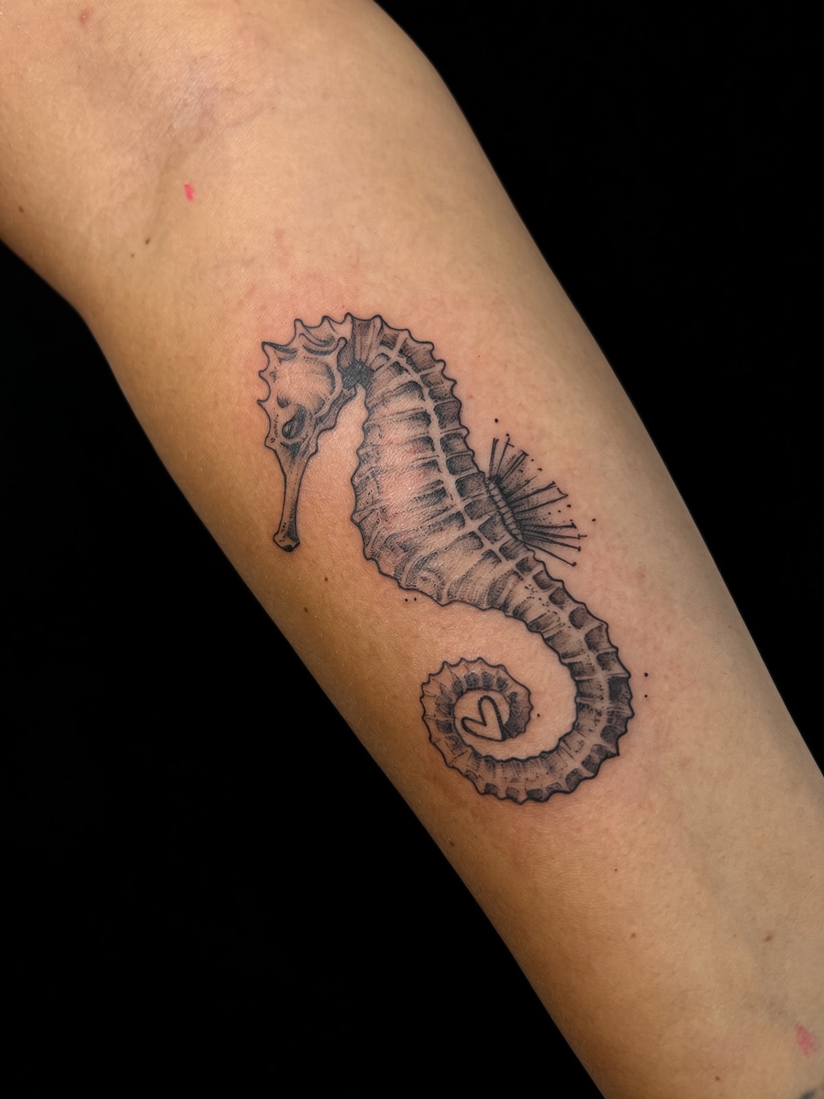 Tatuaje fineline de caballito de mar en antebrazo