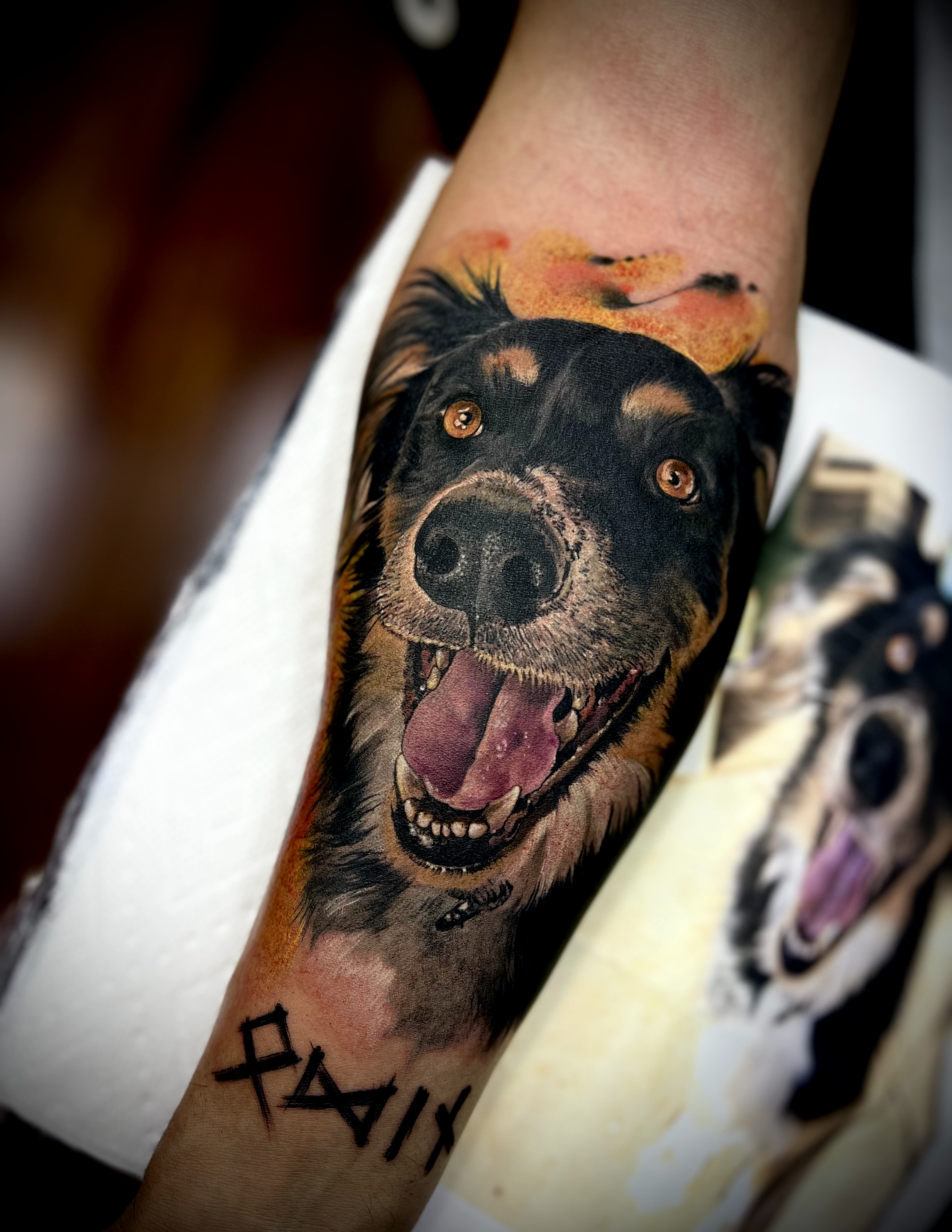 Tatuaje realista de retrato de perro en el brazo