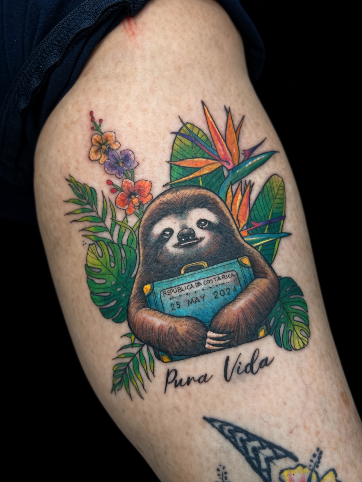 Tatuaje perezoso con pasaporte Costa Rica y flores tropicales a color — JP Tattoo Company