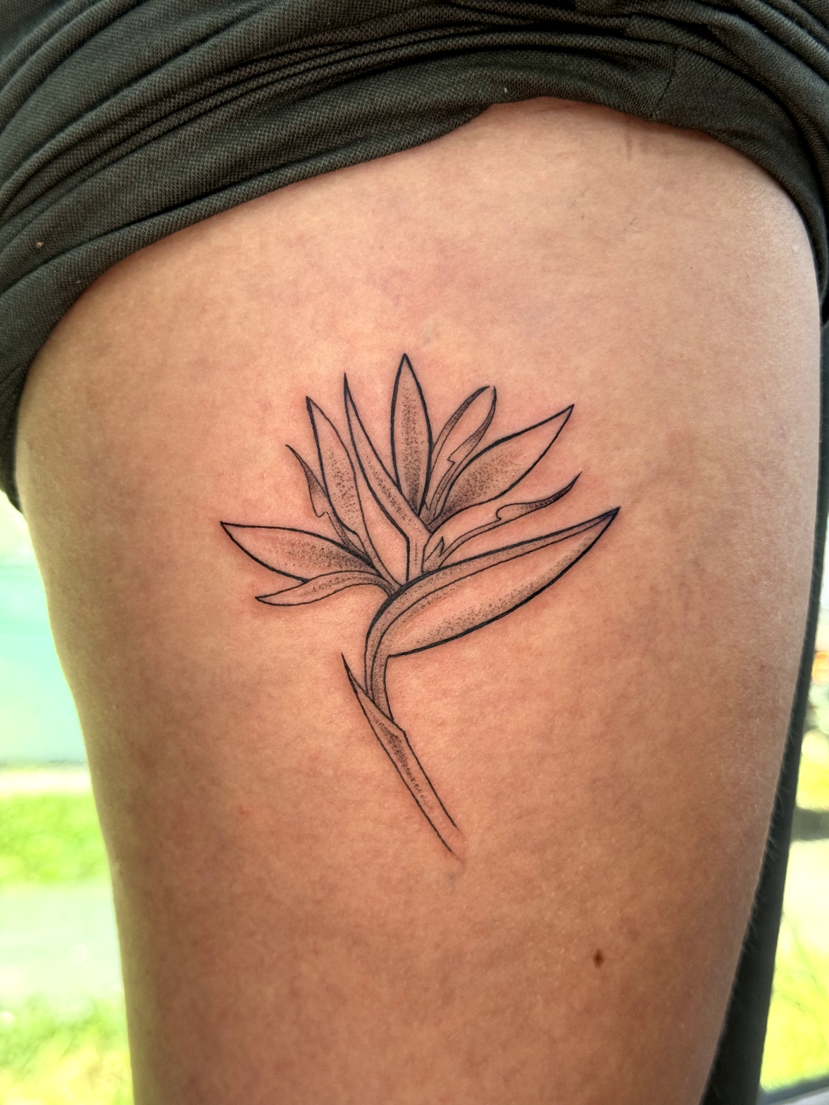 Tatuaje ave del paraíso flor tropical — JP Tattoo Company San José